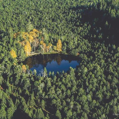 Gaestehaus Ursula Hornberg Dış mekan fotoğraf