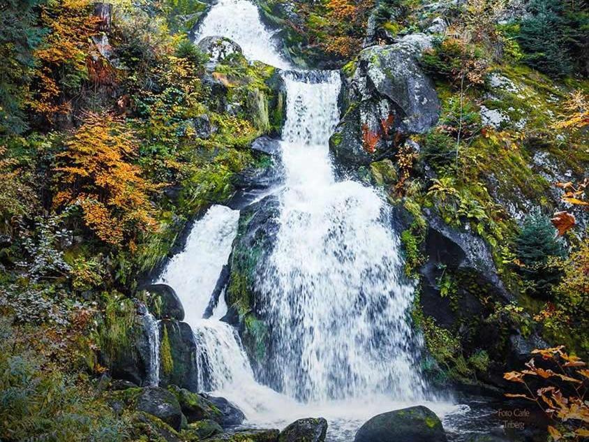 Gaestehaus Ursula Hornberg Dış mekan fotoğraf