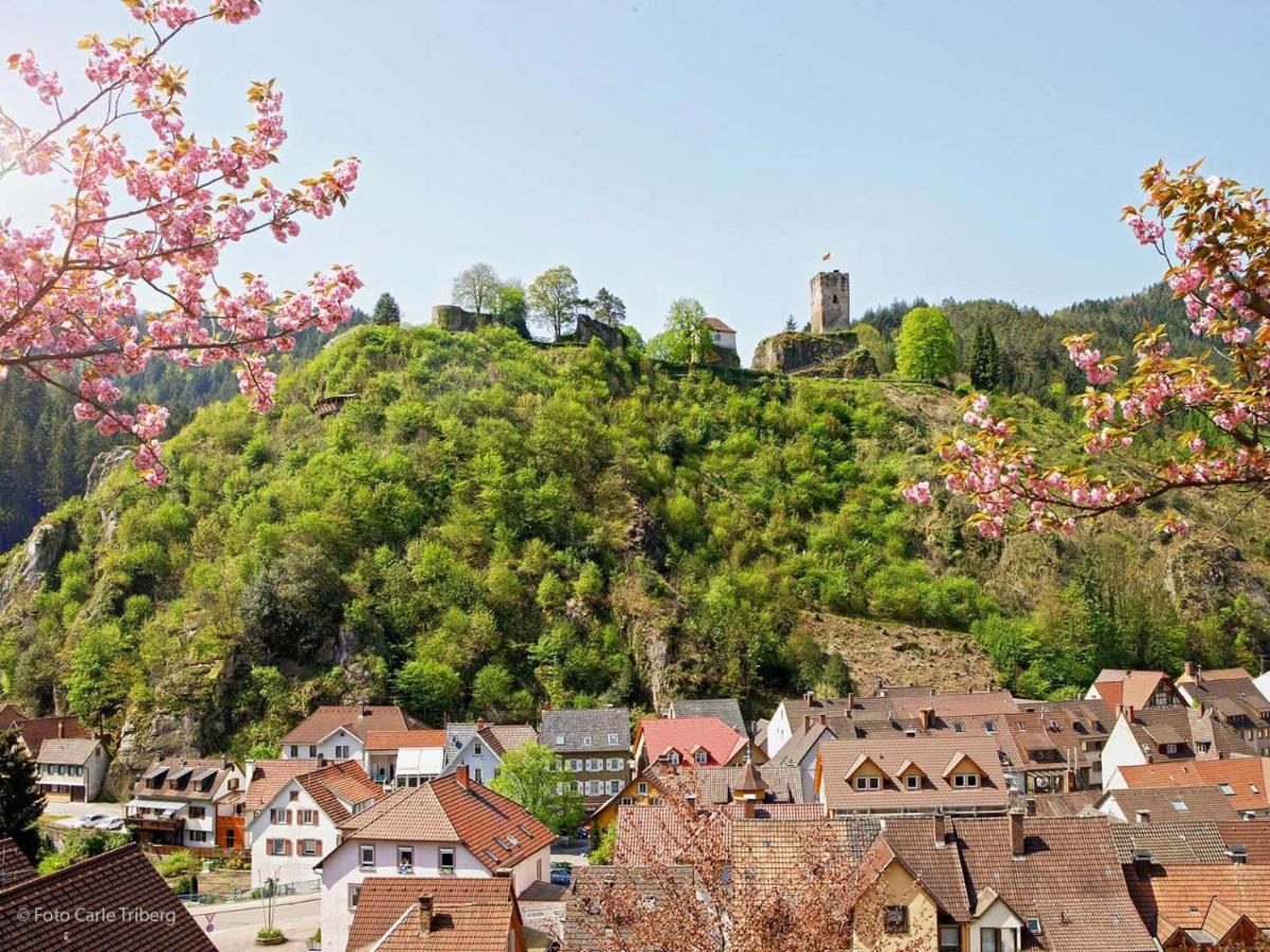 Gaestehaus Ursula Hornberg Dış mekan fotoğraf