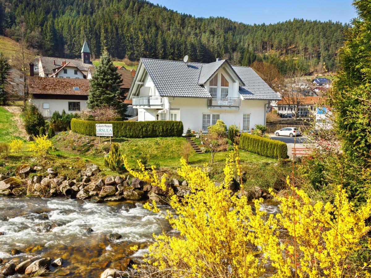 Gaestehaus Ursula Hornberg Dış mekan fotoğraf