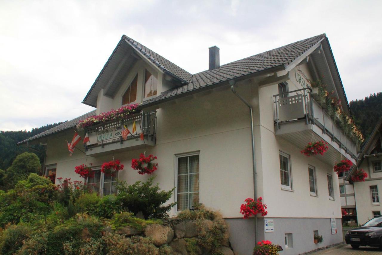 Gaestehaus Ursula Hornberg Dış mekan fotoğraf