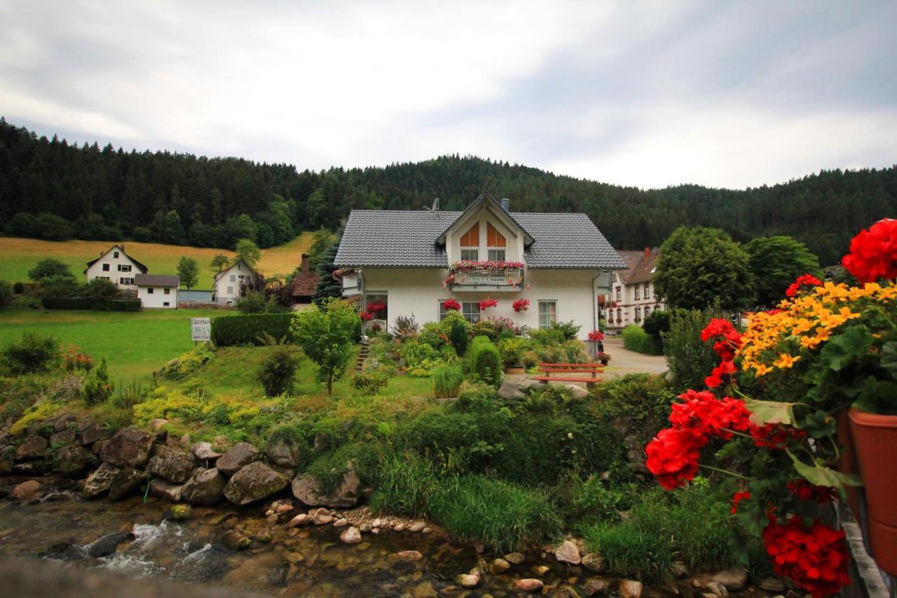 Gaestehaus Ursula Hornberg Dış mekan fotoğraf